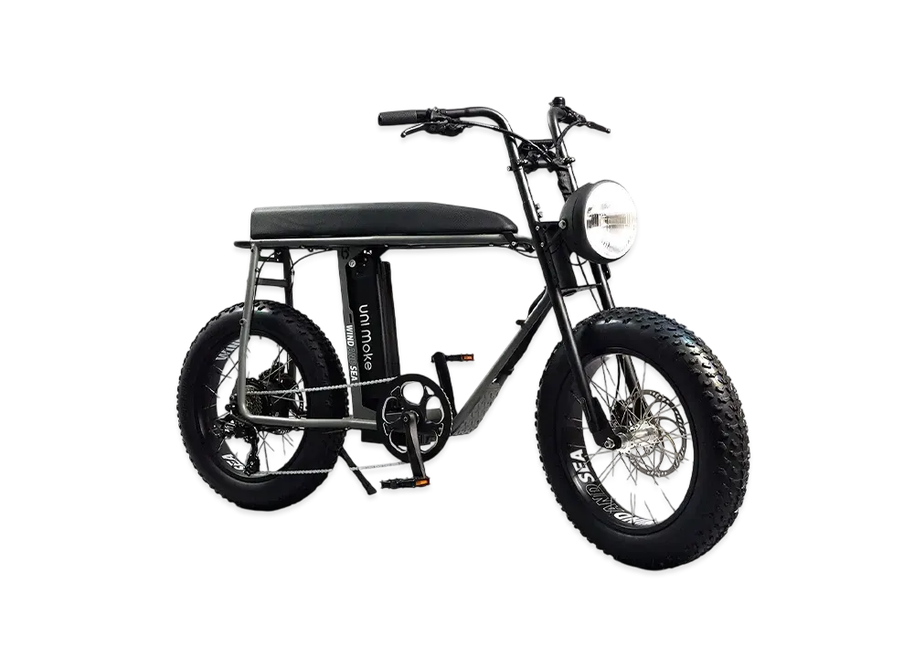 WIND AND SEA x Urban Drivestyle E-Bike "Gray"