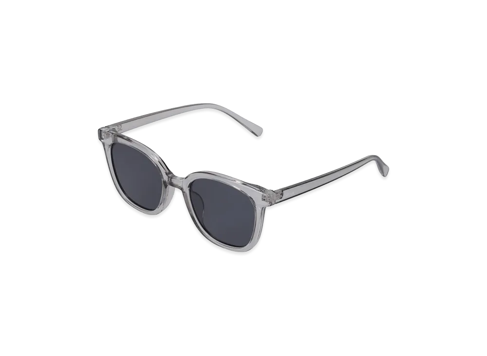 WIND AND SEA x NANGA NW Clear Sunglasses "Gray"