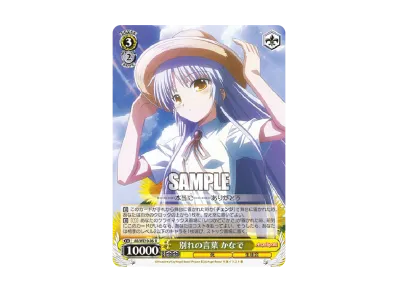 ヴァイスシュヴァルツ エクストラブースター「AngelBeats!」ボックスの ヴァイスシュヴァルツ エクストラブースター「AngelBeats!」ボックスの
