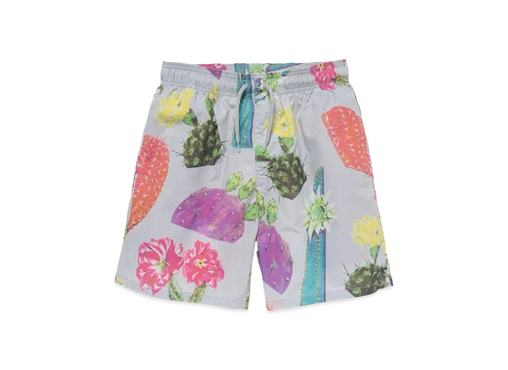 Wtaps SDDS2002 / Shorts / Cotton. Broadcloth. Textile "Gray"