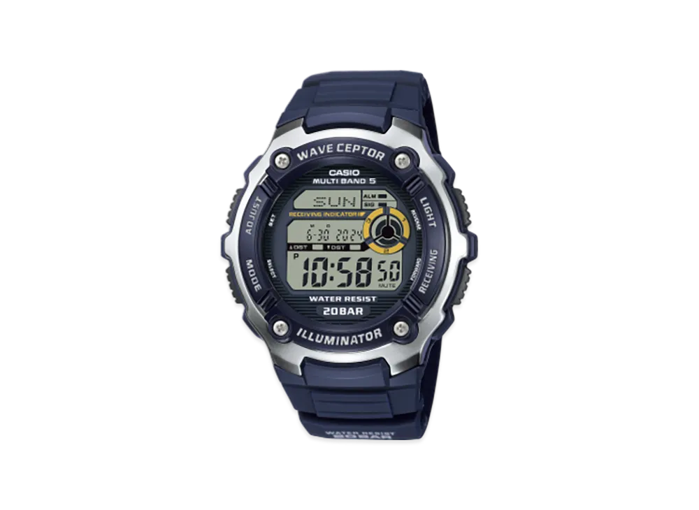 Casio Collection WV-200R-2AJF "Black"