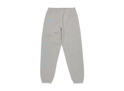 Wasted Youth Sweat Pants "Gray"