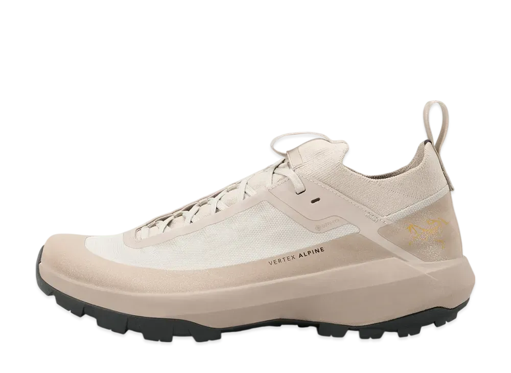 ARC'TERYX Vertex Alpine GORE-TEX "Rune/Esoteric"