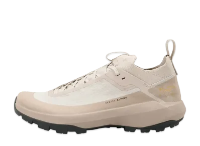 ARC'TERYX Vertex Alpine GORE-TEX "Rune/Esoteric"