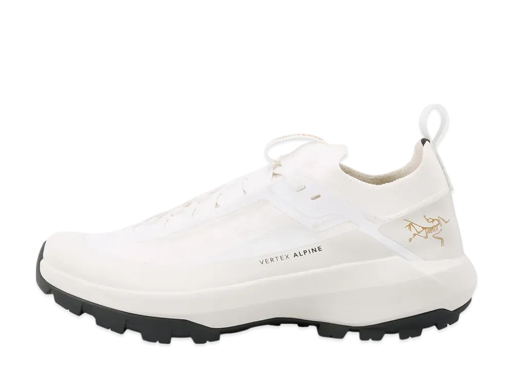 ARC'TERYX Women's Vertex Alpine GORE-TEX "Arctic Silk"