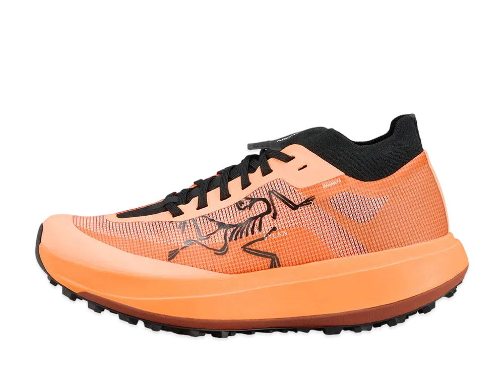 ARC'TERYX Women's Sylan Pro "Luminary/Luminary"