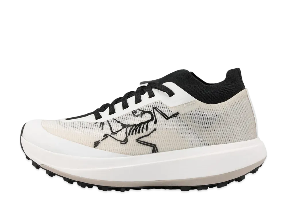 ARC'TERYX Women's Sylan Pro "Arctic Silk/Arctic Silk"