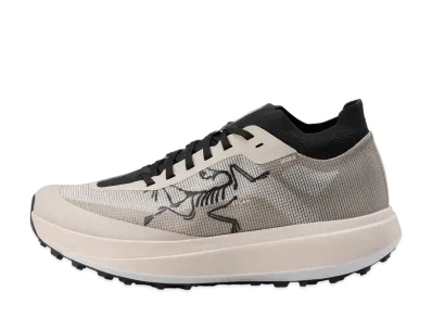 ARC'TERYX Sylan Pro "Rune/Rune"