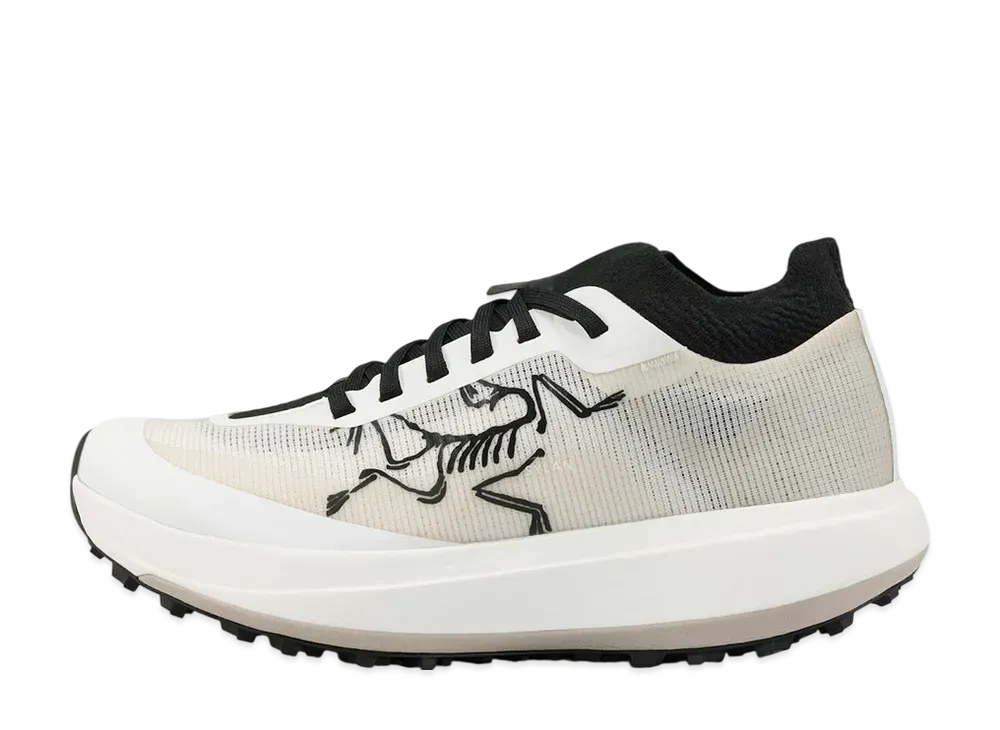 ARC'TERYX Sylan Pro "Arctic Silk/Arctic Silk"