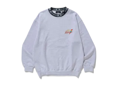 XLARGE PARROT CREWNECK SWEAT XLARGE "Ash"