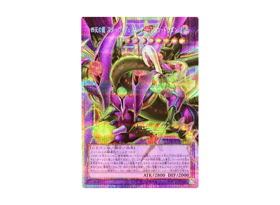 四天の龍 スターヴ・ヴェノム・フュージョン・ドラゴン PSE :オーバー 四天の龍 スターヴ・ヴェノム・フュージョン・ドラゴン PSE :オーバー