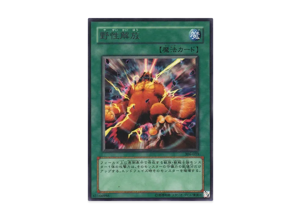 遊戯王 遊戯王OCG デュエルモンスターズ「混沌を制す者」 BOX・封入