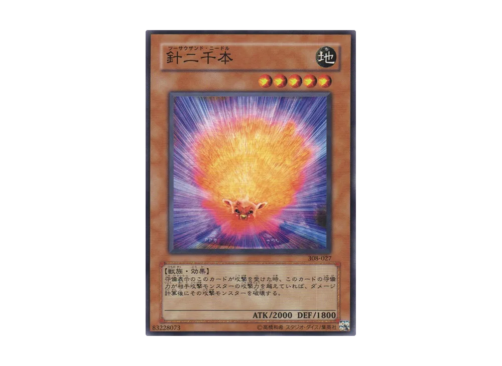 針二千本 N [308-027](天空の聖域)