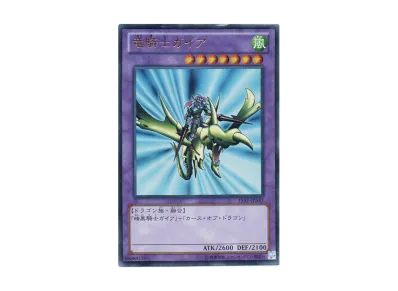 遊戯王OCG デュエルモンスターズ 15周年記念商品 決闘王の記憶 決闘者 遊戯王OCG デュエルモンスターズ 15周年記念商品 決闘王の記憶 決闘者
