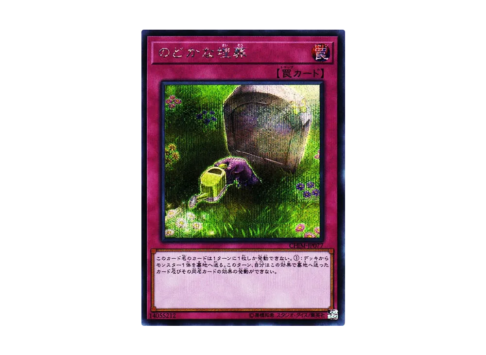 Peaceful Burial SE [CHIM-JP077](CHAOS IMPACT)