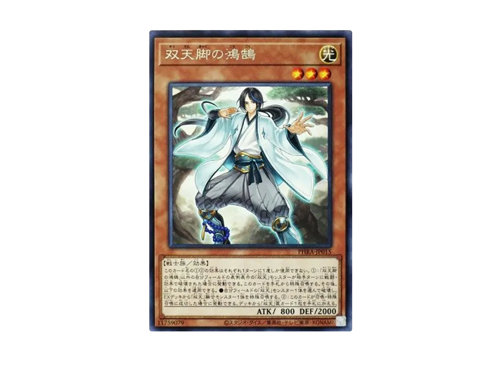 Dual Avatar Feet - Kokoku R [PHRA-JP015](PHANTOM RAGE)