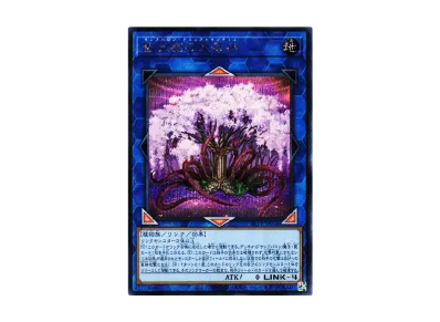 遊戯王 OCG デュエルモンスターズ セレクション 10 ボックスの新品 遊戯王 OCG デュエルモンスターズ セレクション 10 ボックスの新品