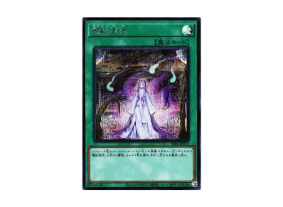 遊戯王OCG デュエルモンスターズ シークレット シャイニー ボックス の 遊戯王OCG デュエルモンスターズ シークレット シャイニー ボックス の