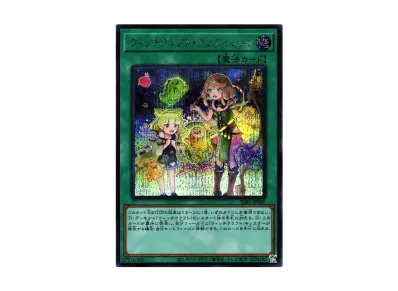 遊戯王OCG デュエルモンスターズ シークレット シャイニー ボックス の 遊戯王OCG デュエルモンスターズ シークレット シャイニー ボックス の