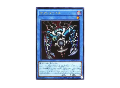 遊戯王OCG デュエルモンスターズ デュエルロワイヤル デッキセット EX 遊戯王OCG デュエルモンスターズ デュエルロワイヤル デッキセット EX