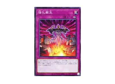 遊戯王OCG デュエルモンスターズ デュエルロワイヤル デッキセット EX 遊戯王OCG デュエルモンスターズ デュエルロワイヤル デッキセット EX