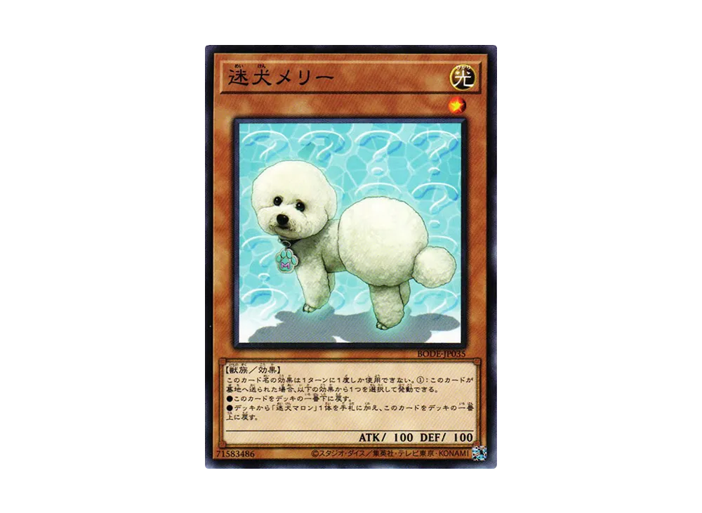 Outstanding Dog Mary NR [BODE-JP035](Burst Of Destiny)