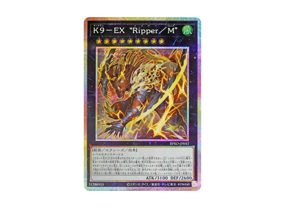 遊戯王OCG デュエルモンスターズ バースト・プロトコル パックの新品