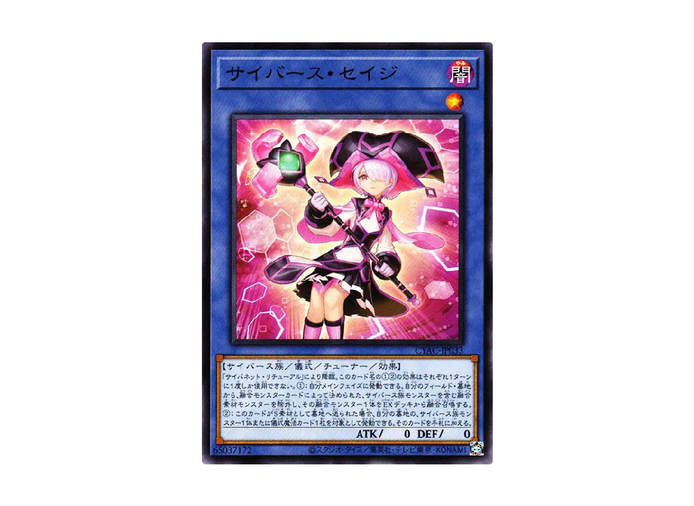 Cyberse Sage N [CYAC-JP033](Cyberstorm Access)
