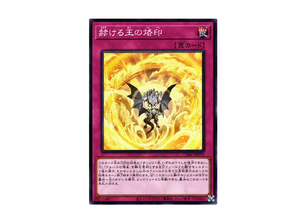Brightest Blazing Branded King N [CYAC-JP070](Cyberstorm Access)
