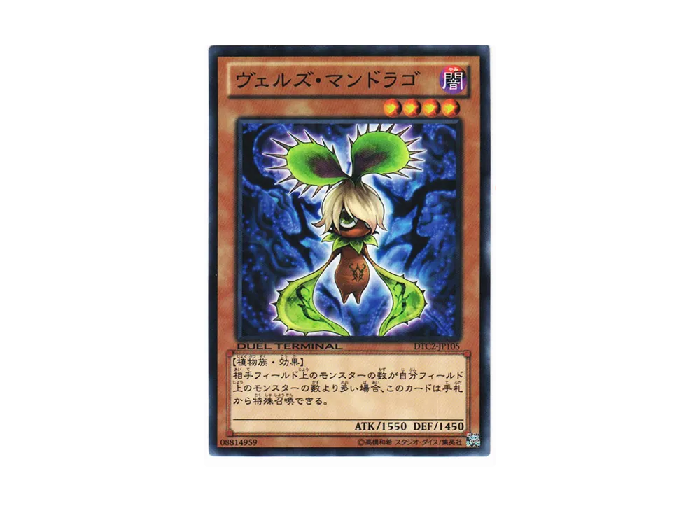 Evilswarm Mandragora N [DTC2-JP105](DUEL TERMINAL Chronicle 2 - Chapter of Chaos)