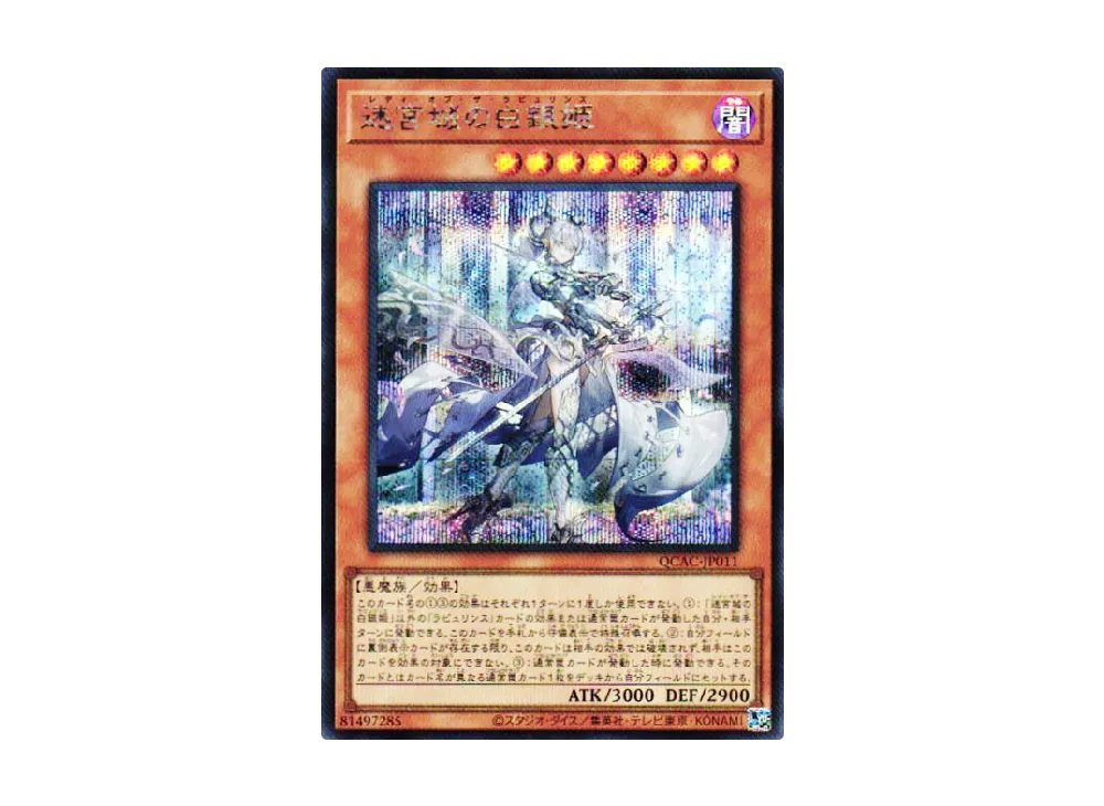 迷宮城の白銀姫 SE [QCAC-JP011](クォーター・センチュリー・アート・コレクション)