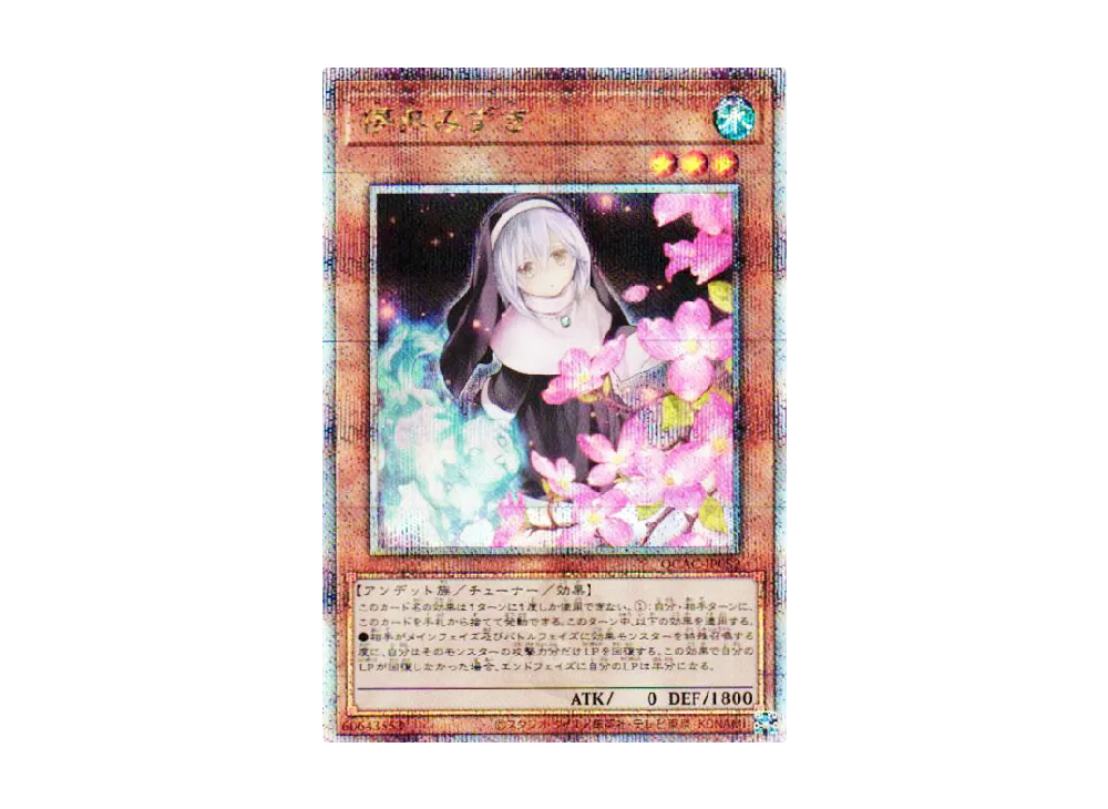 儚無みずき 25th SE [QCAC-JP052](クォーター・センチュリー・アート・コレクション)