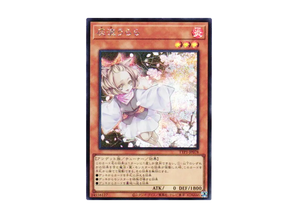 Ash Blossom & Joyous Spring SE [TTP1-JP078](Dark Magic