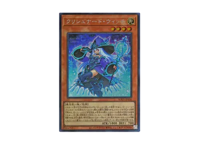遊戯王OCG デュエルモンスターズ ワールドプレミアパック 2024 パック 遊戯王OCG デュエルモンスターズ ワールドプレミアパック 2024 パック