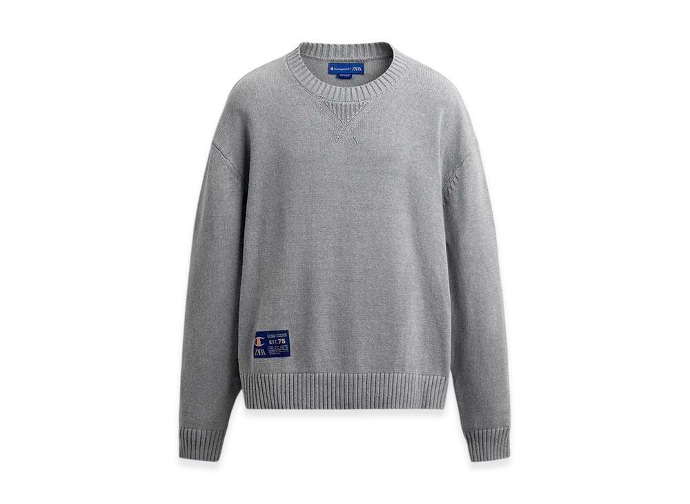 Crew Neck Champion Sweater Gray Zara CHAMPION® X ZARA STRIPED