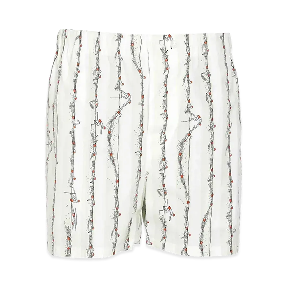 Bottega Veneta Printed Poplin Bermuda Shorts "Multicolor"