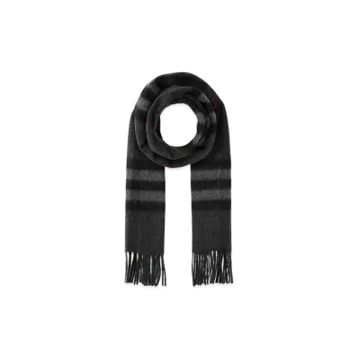 Burberry Embroidered Cashmere Scarf "Printed"