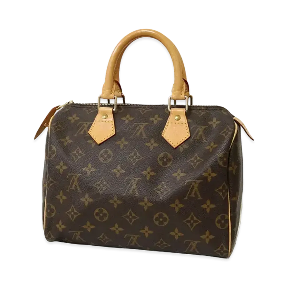 Louis Vuitton Speedy 25 Monogram