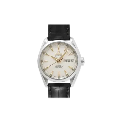 OMEGA Seamaster Aqua Terra Chronometer Annual Calendar "Silver" 231.13.39.22.02.001
