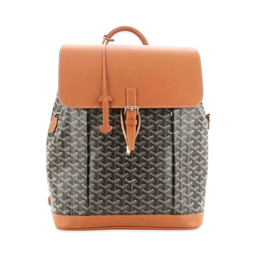 Goyard Alpin MM Backpack "Black/Brown"