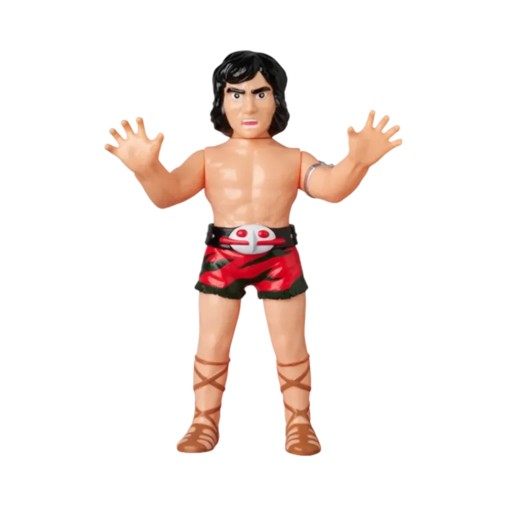 MEDICOM TOY "Toei Retro Sofvi Collection" -MASKED RIDER AMAZON- Daisuke Yamamoto (Transformation Pose Ver.)