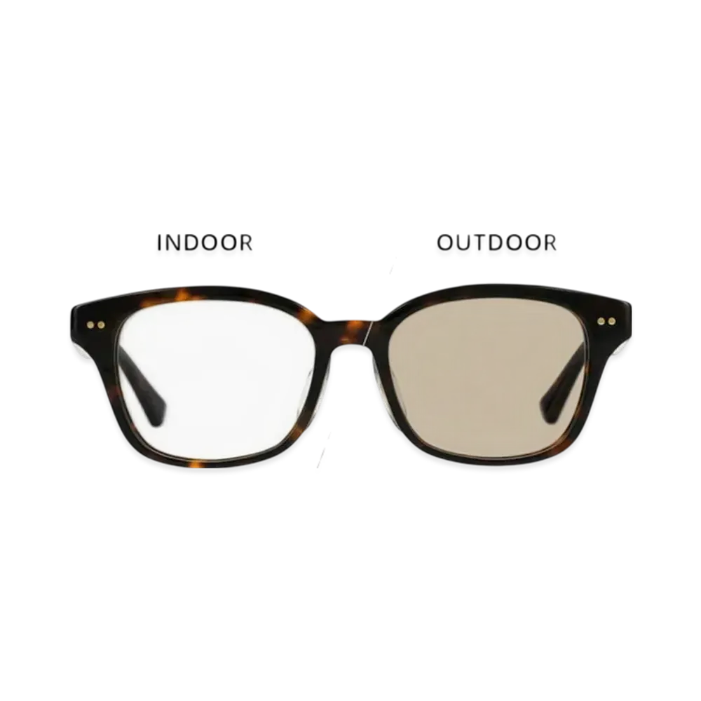 Zoff x STUDIO SEVEN ZA251G17-49A1 "Brown/Demi Pattern"