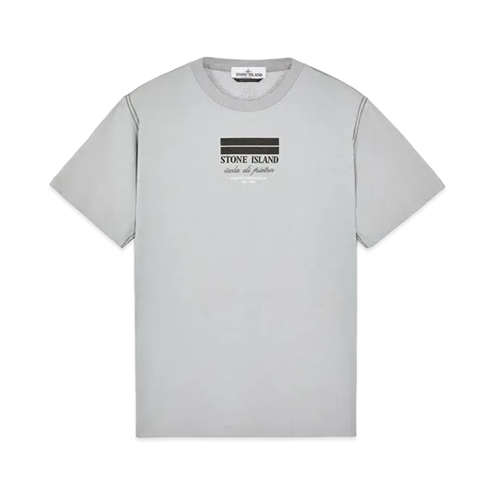 Stone Island 20894 COTTON JERSEY 'ULTRA INSTITUTIONAL THREE' PRINT_REGULAR FIT "Pearl Grey"