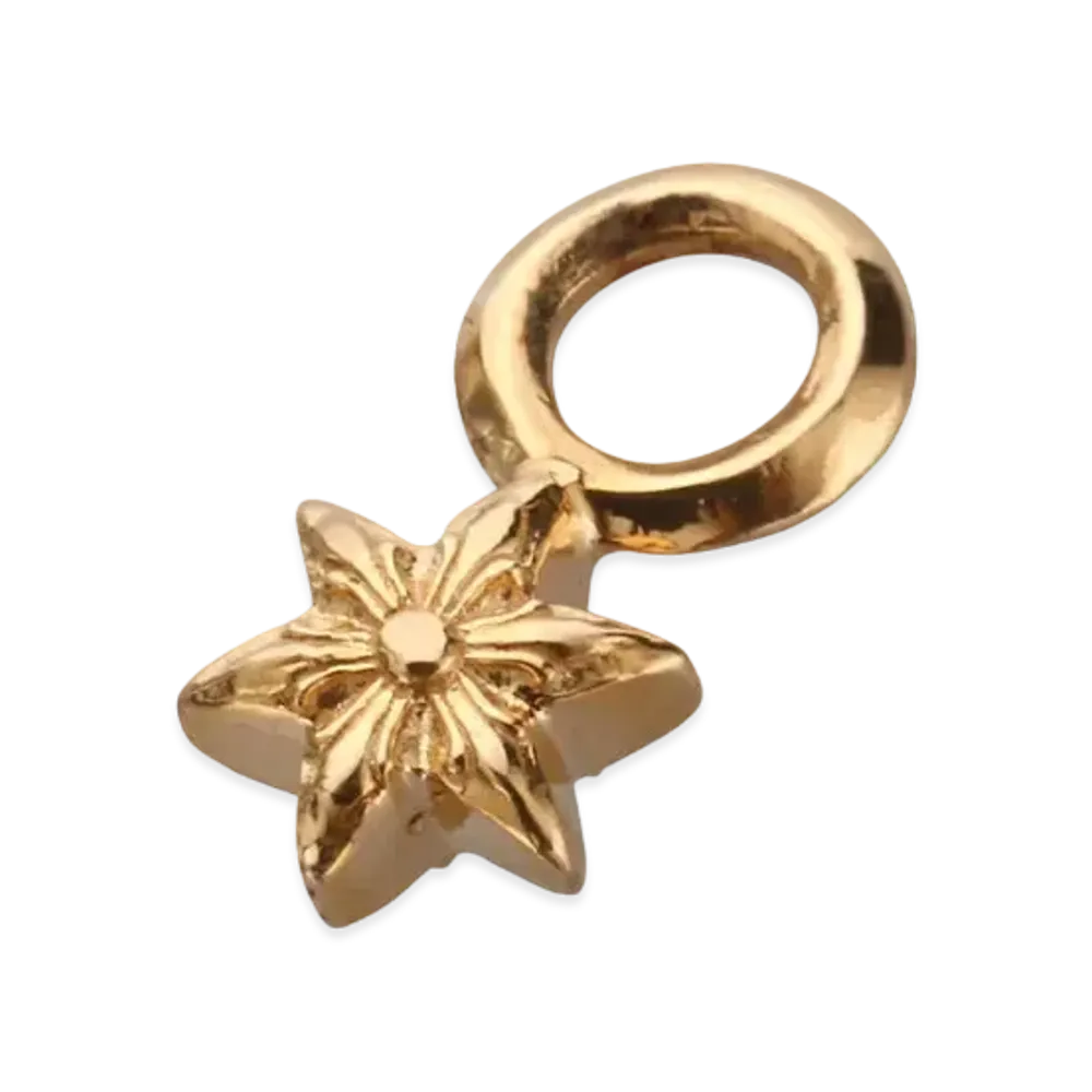 Chrome Hearts 22K #A Stack Charm Star "Gold"