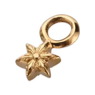 Chrome Hearts 22K #A Stack Charm Star "Gold"