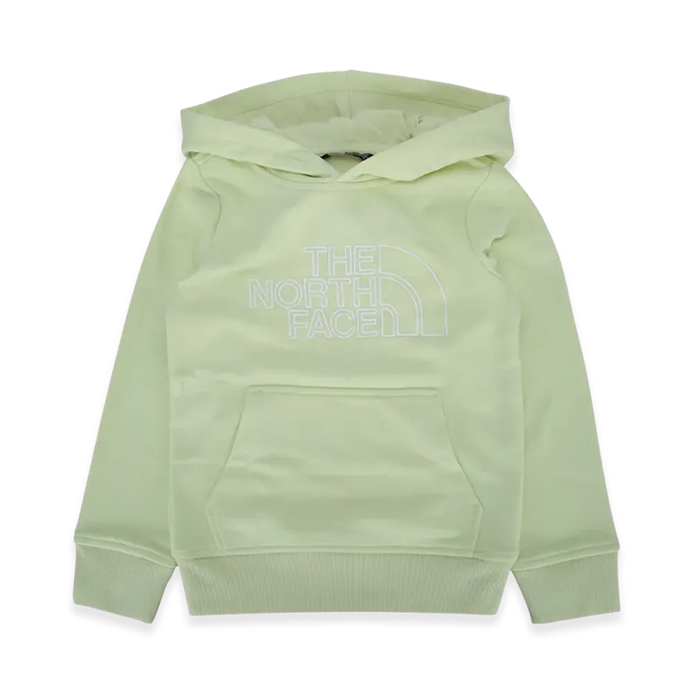 The North Face Kids Teen Drew Peak Light Reg Hoodie "Green"
