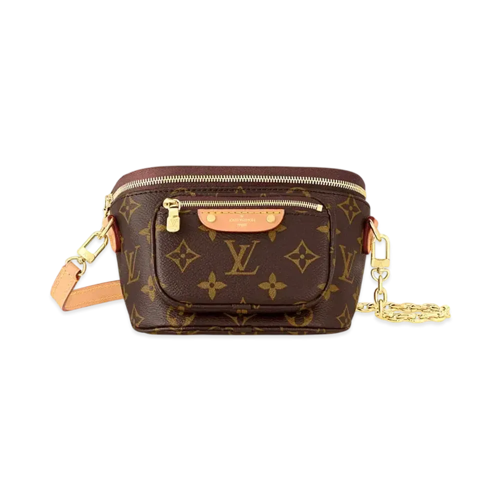 Louis Vuitton Mini Bumbag Monogram