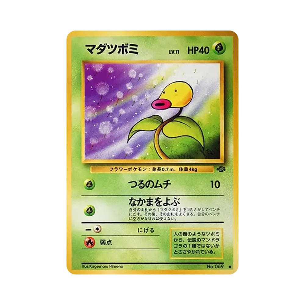マダツボミ ● : 旧裏 [PMCG2 No.069](拡張パック「ポケモンジャングル」)