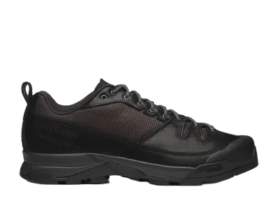 Salomon X-ALP Alpine Echoes "Black/Earth Brown"