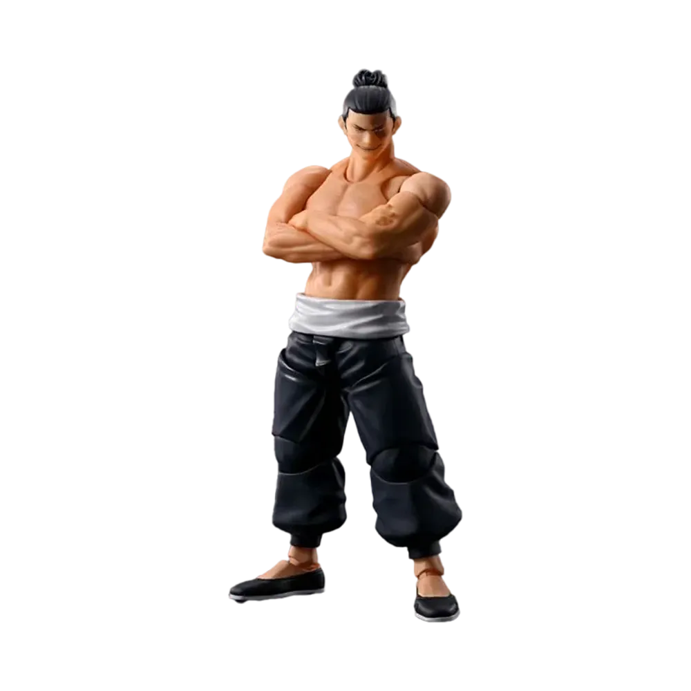S.H.Figuarts Aoi Todo